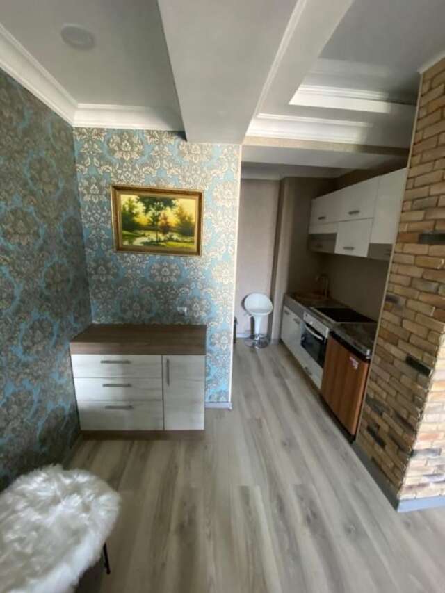 Апартаменты Luxury Apartment ,near the park.Super Price! Кишинёв-35